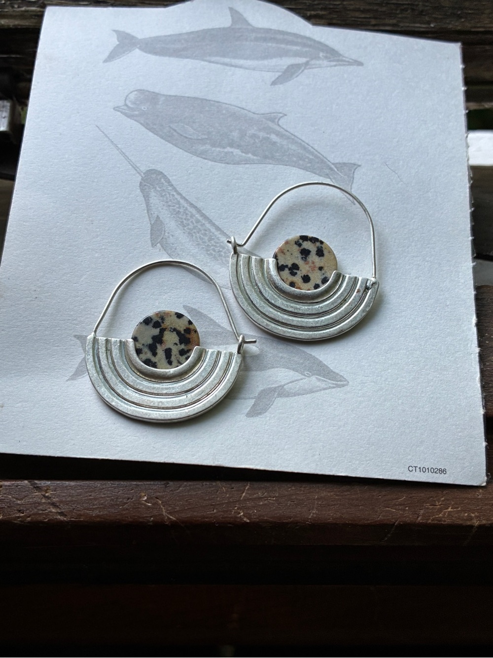 Dalmatian jasper hoop earrings/full moon earrings